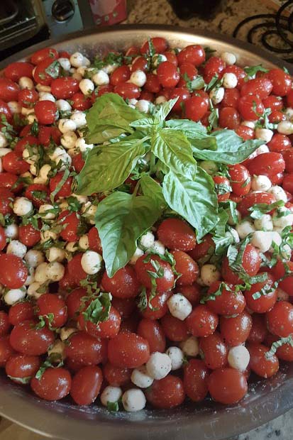 Close Up Picture of Caprese Salad